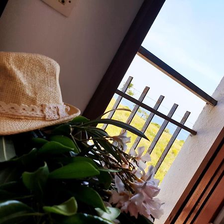 Xaloc, Apartament Amb Vistes A Mar M4 El Port De La Selva Exteriör bild